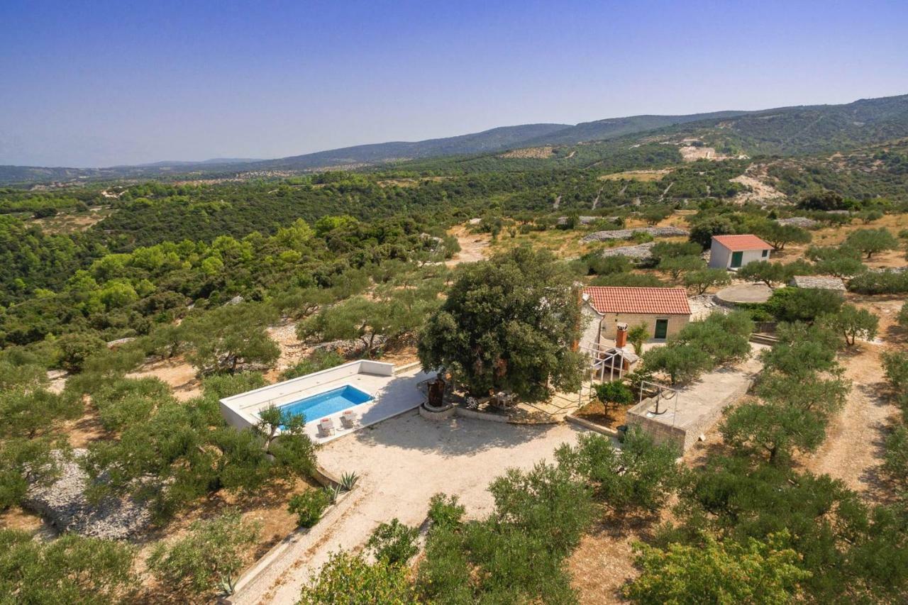 Villa Dubrava Tranquil Retreat Nestled In An Olive Grove For Serene Escapes Пучишча Экстерьер фото