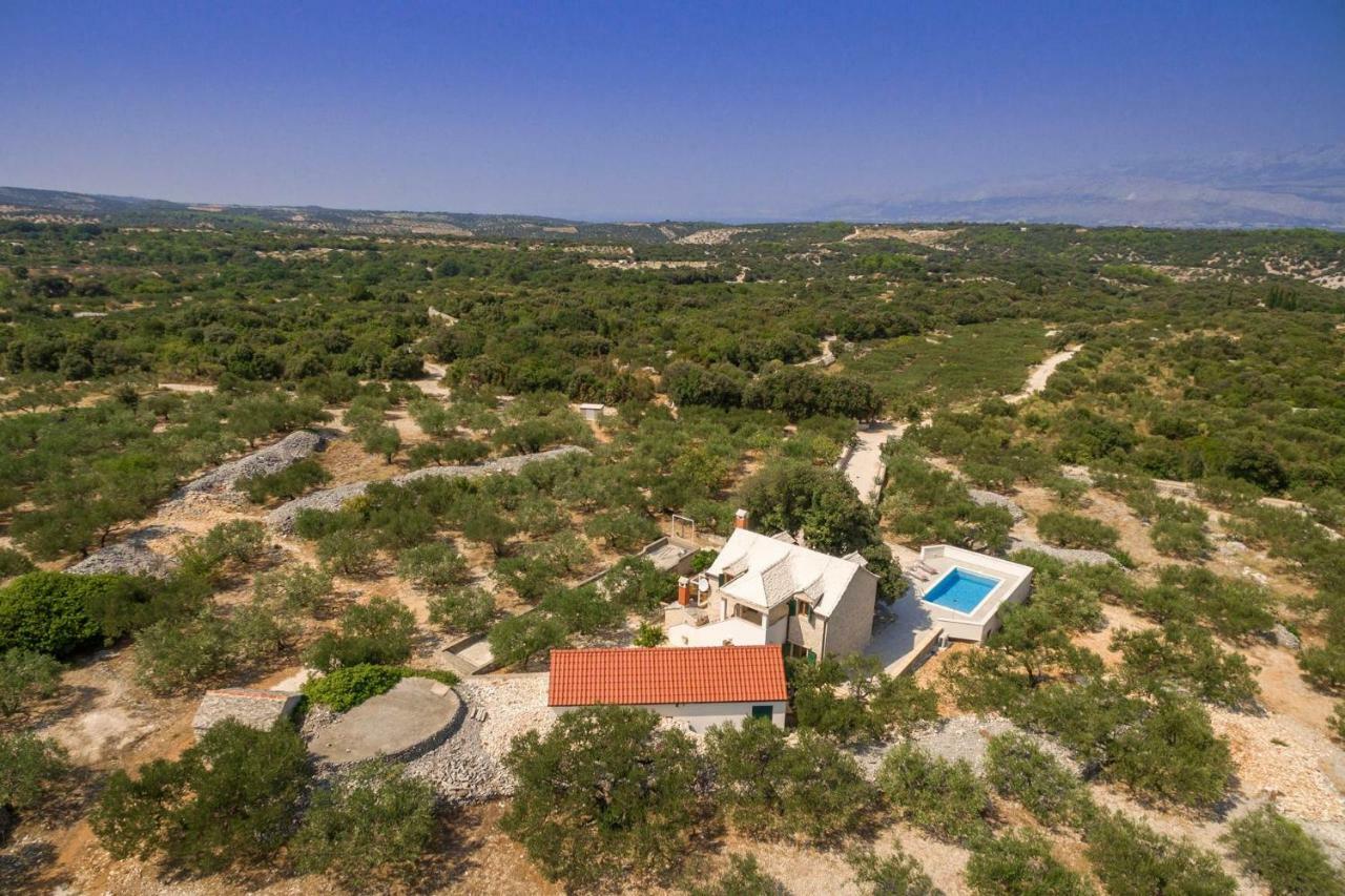 Villa Dubrava Tranquil Retreat Nestled In An Olive Grove For Serene Escapes Пучишча Экстерьер фото