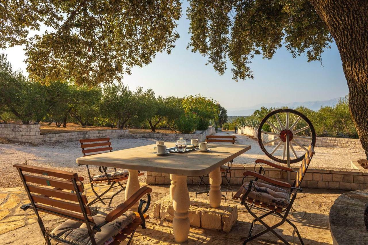 Villa Dubrava Tranquil Retreat Nestled In An Olive Grove For Serene Escapes Пучишча Экстерьер фото