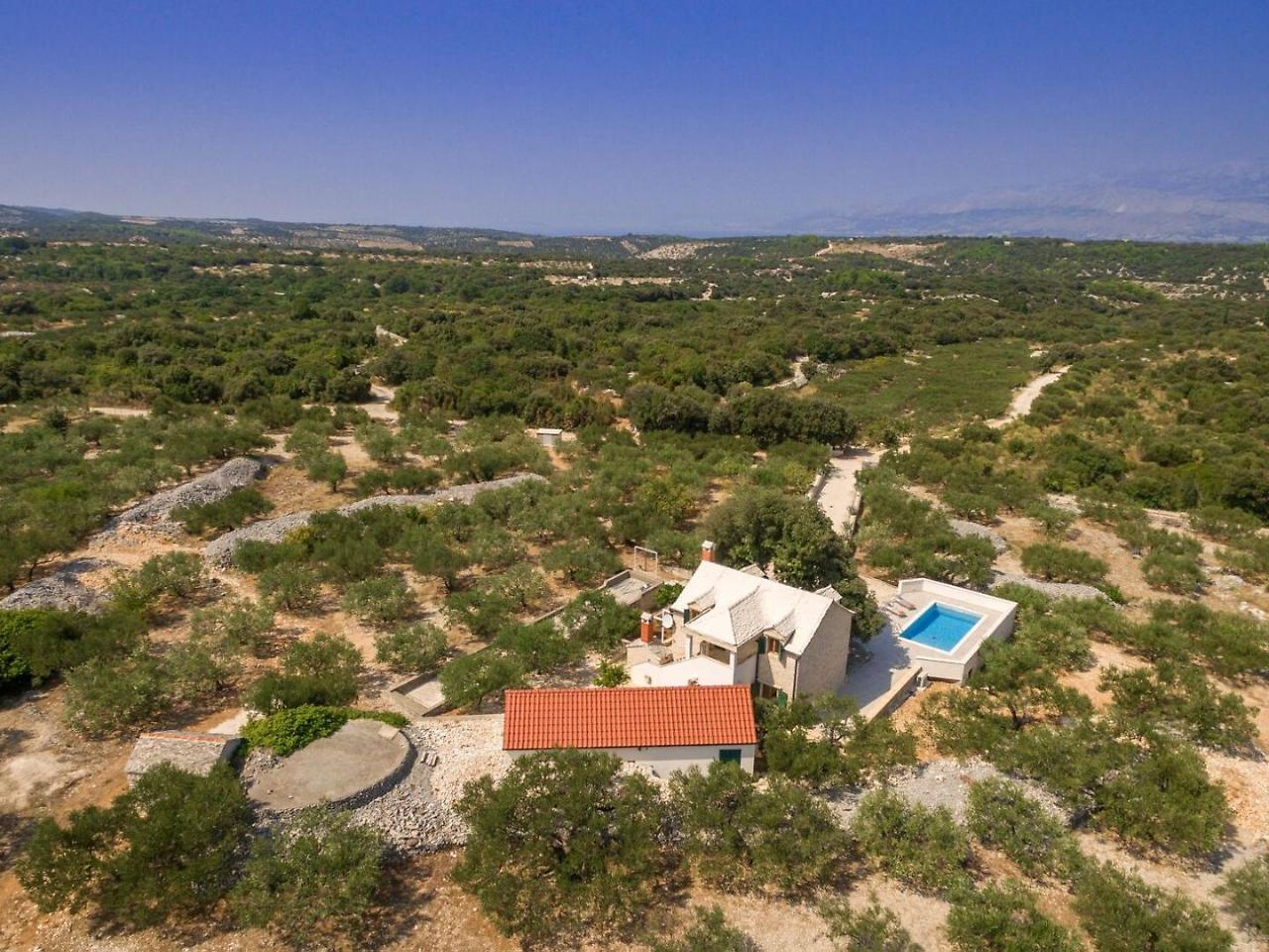 Villa Dubrava Tranquil Retreat Nestled In An Olive Grove For Serene Escapes Пучишча Экстерьер фото