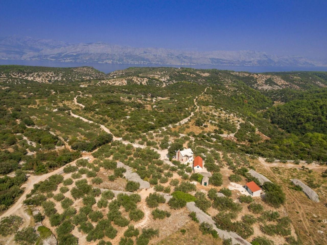 Villa Dubrava Tranquil Retreat Nestled In An Olive Grove For Serene Escapes Пучишча Экстерьер фото